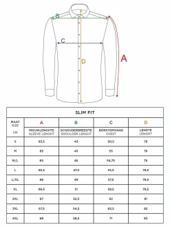 Wam Denim Overhemd Lange Mouwen<Leira Solid Light Green Overhemd Lange Mouw